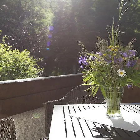 Haus Wildsee Seefeld in Tirol